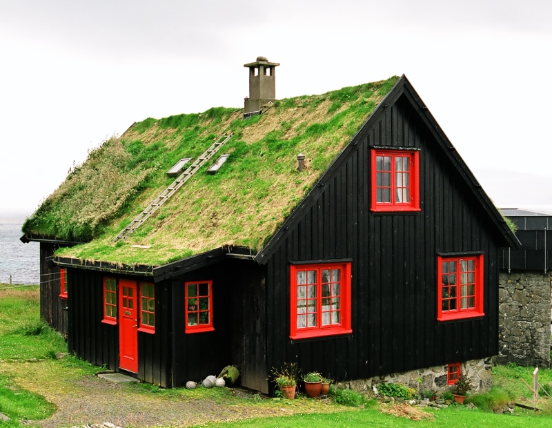 housing:natural_building_methods:sod_roofing:grassroof1.jpg