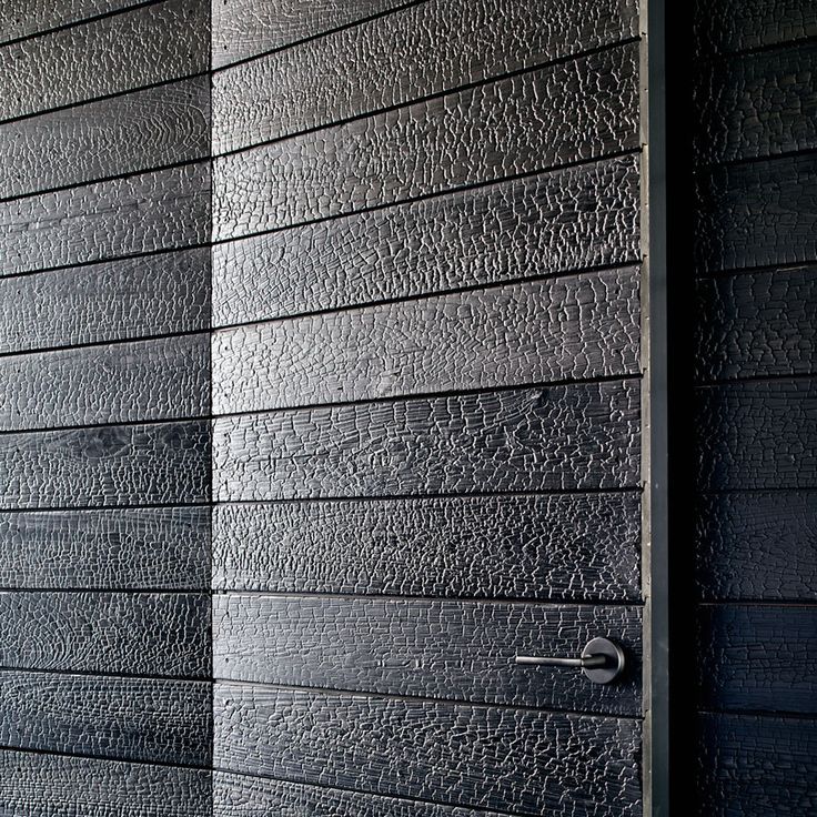 charred-wood-siding-home-design-image-result-for-coral-growing-on-burnt-16.jpg